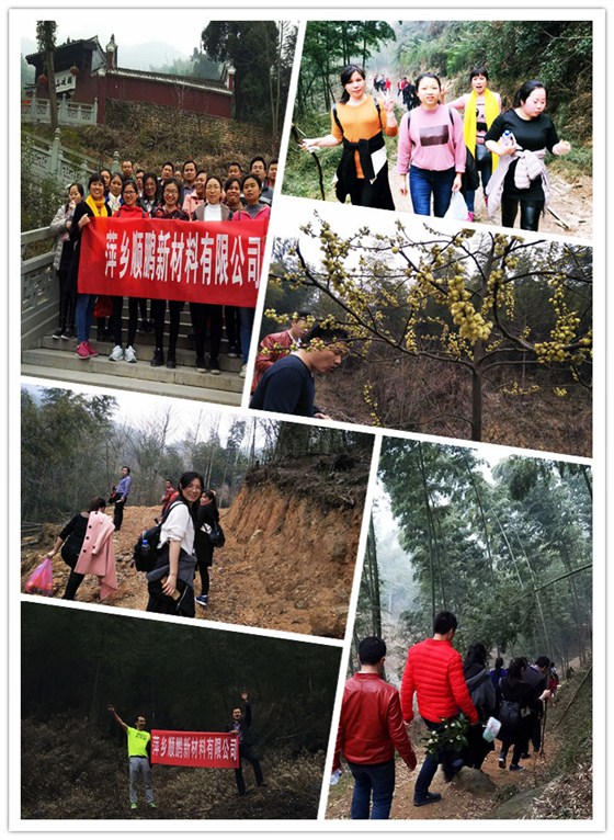 392536967633905034_副本2 392536967633905034_副本2