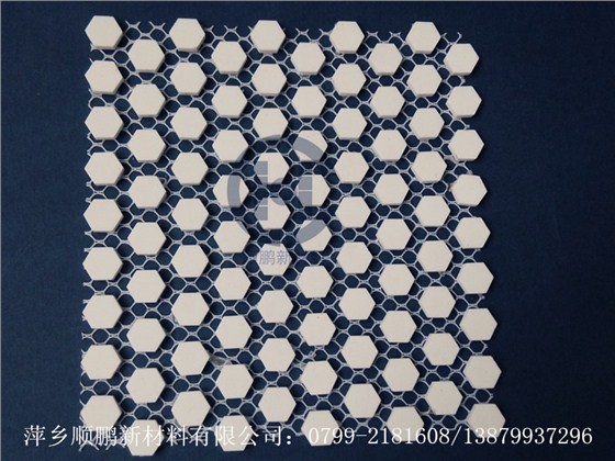 六邊形尼龍網(wǎng)_副本 六邊形尼龍網(wǎng)_副本