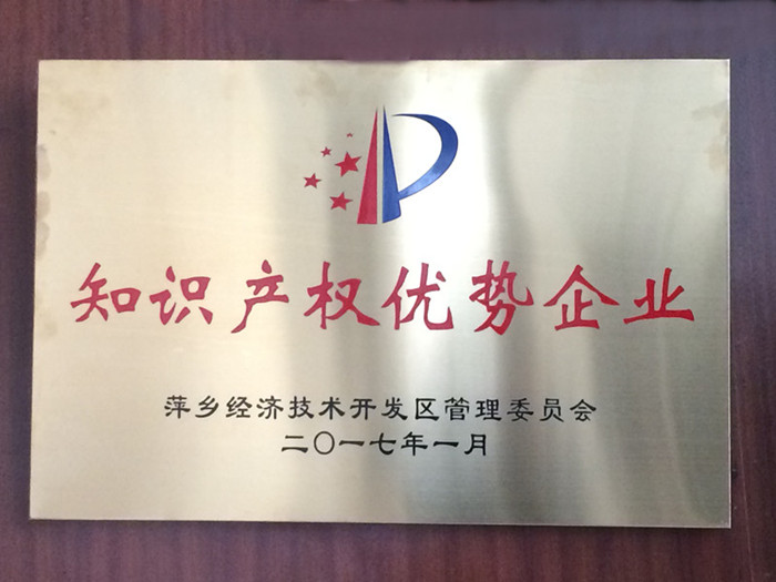 優(yōu)勢(shì)企業(yè)_1 優(yōu)勢(shì)企業(yè)_1