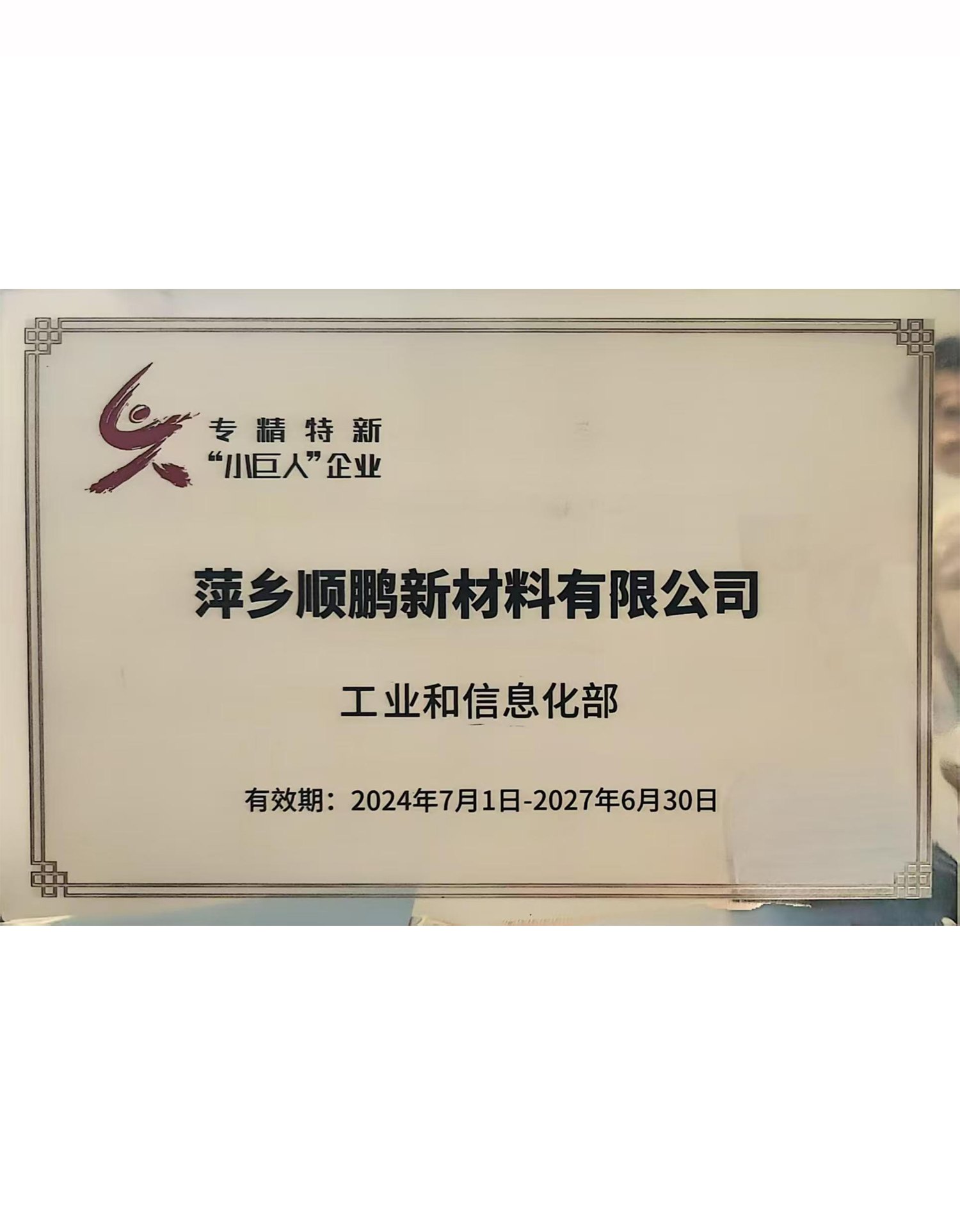 國家專精特新小巨人企業(yè)